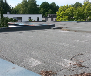 Top tips for maintaining your flat roof