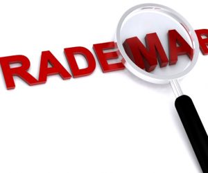 Investigations in defense of trademark, patent and intellectual property rights increase by 30%