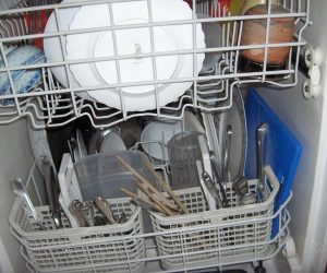 Girlfriend on eBay is Advertised as ‘Noisy Dishwasher’